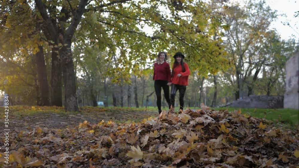 friendships, two beautiful smiling girlfriends run holding hands and throw leaves in the autumn park in the fall season friendships, two beautiful smiling girlfriends run holding hands and throw leaves in the autumn park in the fall season