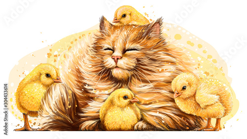 Cat with chickens. Wall sticker. Artistic, color, hand-drawn image of a happy fluffy cat surrounded by small yellow chickens in a watercolor style on a white background.