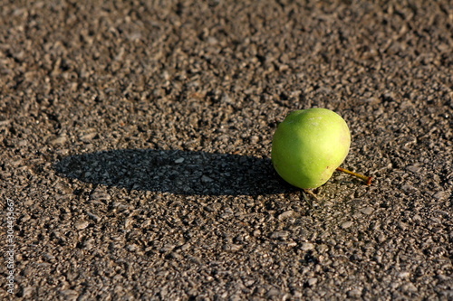 Fresh light green apple on local paved road casting long shadow at sunset on warm sunny summer day