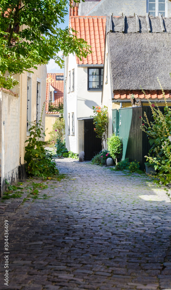 Fototapeta premium Narrow Cobbled Road