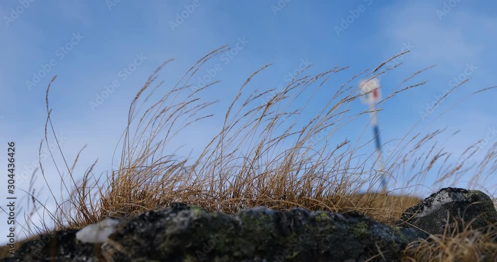 Dead grass blown by gusts of wind on a rock, with a blurred hiking signpost in the background and blue sky, at Iezer-Papausa mountains, Romania. Dead grass blown by gusts of wind on a rock, with a blurred hiking signpost in the background and blue sky, at Iezer-Papausa mountains, Romania.