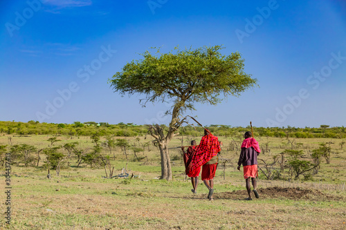Bush walk with masaais in Masai mara photo