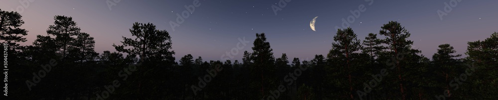Silhouettes of trees against the background of the night sky. 3d rendering. Silhouettes of trees against the background of the night sky. 3d rendering.