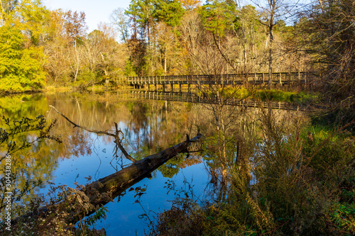 A pedestrian bridge across wetlands with trees reflected in a still pond.