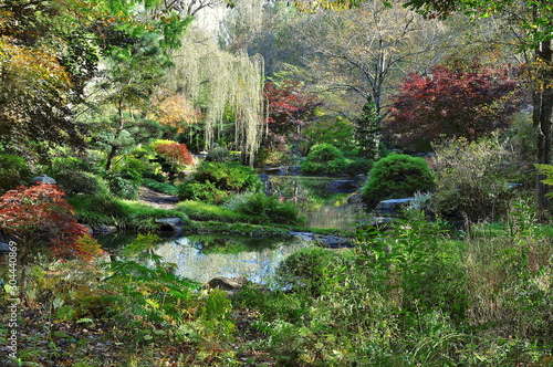 Landscape of Japanese Garden in America