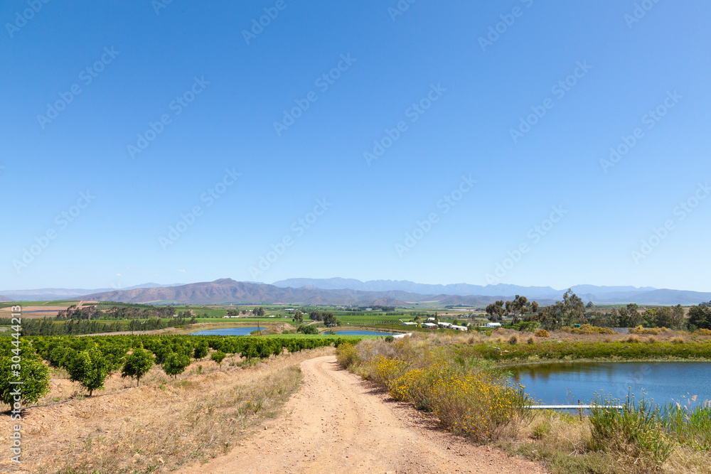 Robertson Wine Valley, Route 62, Western Cape Winelands, South Africa in spring with vineyards and citrus orchards 