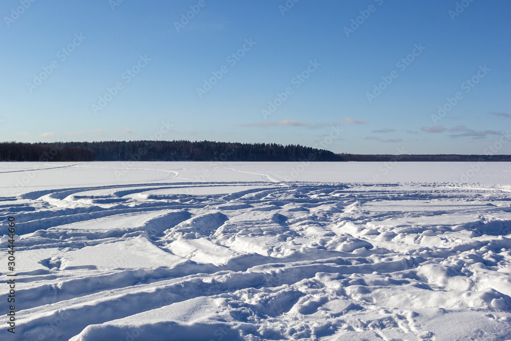 Panoramic view of winter landscape with field of white snow and forest on horizon on sunny frosty day.