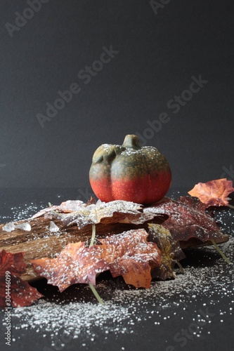 autumnally decorated pumpkin with autumn foliage,snow and ice crystals