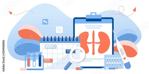 Kidney healthcare, doing medical research.urology and nephrology. nephroptosis, renal failure, pyelonephritis, diseases, kidney stones, cystitis. For website, app, banner, flyer