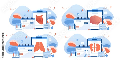 Doctor and human internal organ set. Anatomy concept. Kidney, lungs, heart and brain. Therapist make diagnosis. anatomical and medical inner organs disease treatment. Pharmacy research system