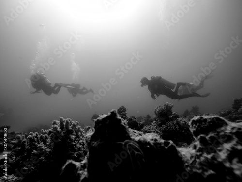 Divers underwater in the sea