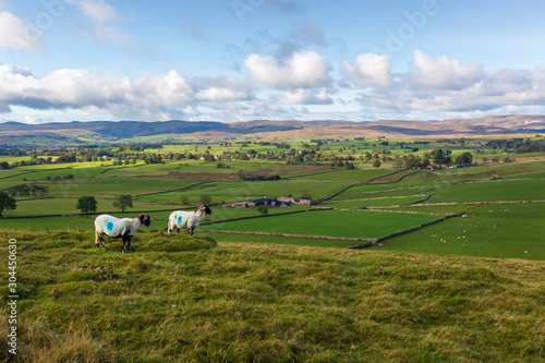 Hill Farm and Countryside Around Orton Near Penrith in Cumbria, UK