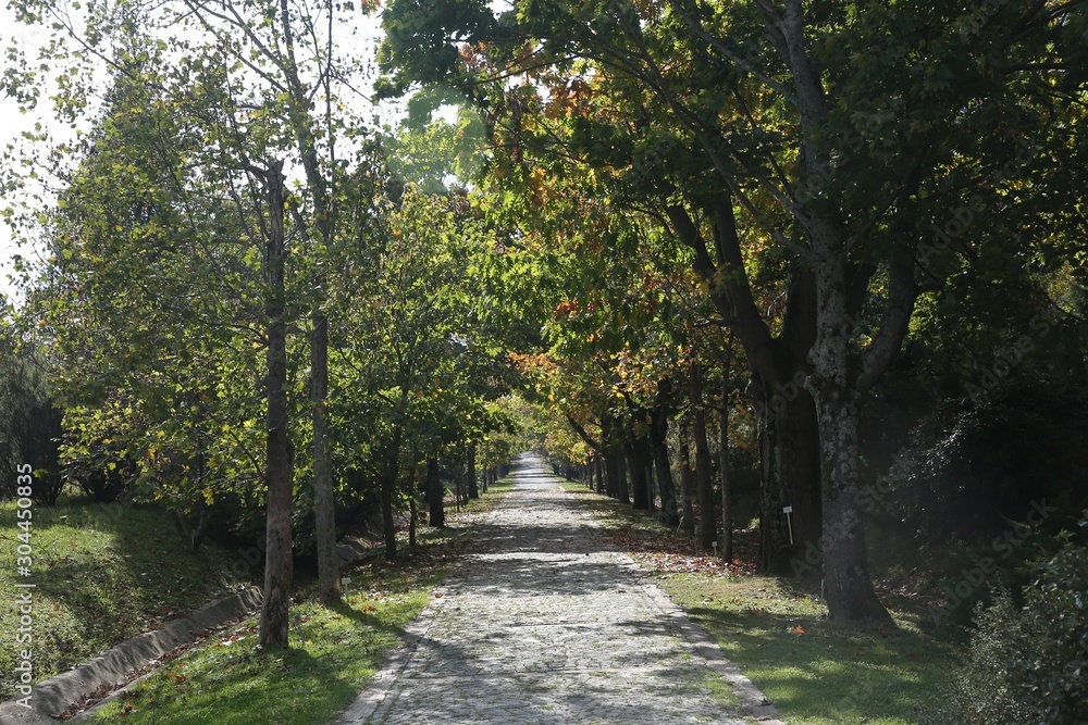 Ataturk Arboretum Botanic Park in Istanbul Ataturk Arboretum Botanic Park in Istanbul