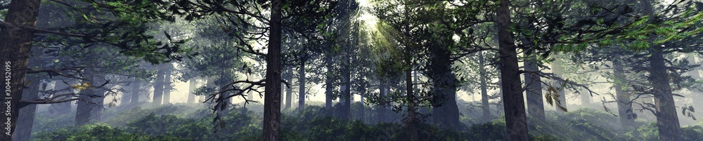 Trees in the fog. The smoke in the forest in the morning. A misty morning among the trees. 3D rendering Trees in the fog. The smoke in the forest in the morning. A misty morning among the trees. 3D rendering