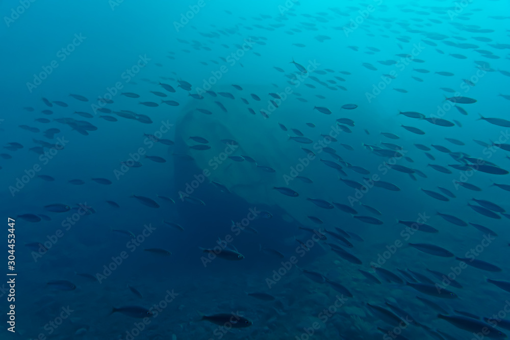 Blue Sea Blue Sea