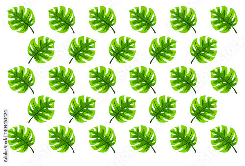 Tropical green leaves pattern. Trendy print for summer. Usable for wallpaper, banner, poster, postcard. 