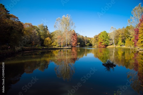 Ataturk Arboretum Botanic Park in Istanbul