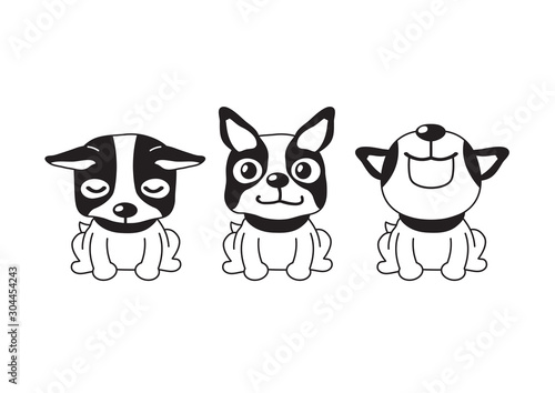 Vector cartoon character boston terrier dog poses for design.