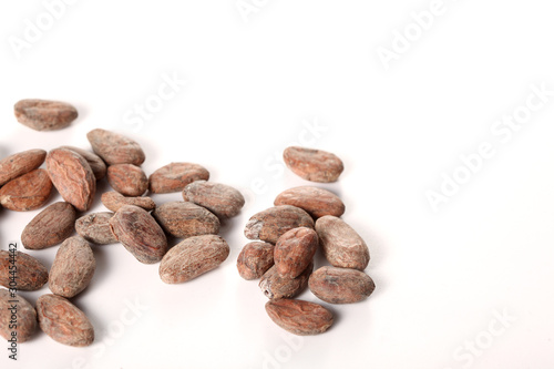 raw cocoa beans isolated on white background with copy space for your text