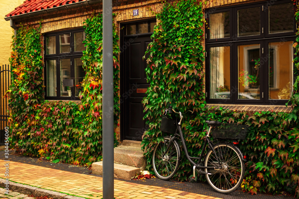 Beautiful house with green garden and vintage bicycle near the entrance in Europe.