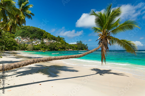 paradise beach in seychelles © roca83