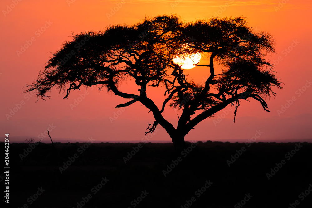 Sunest in savanna of africa