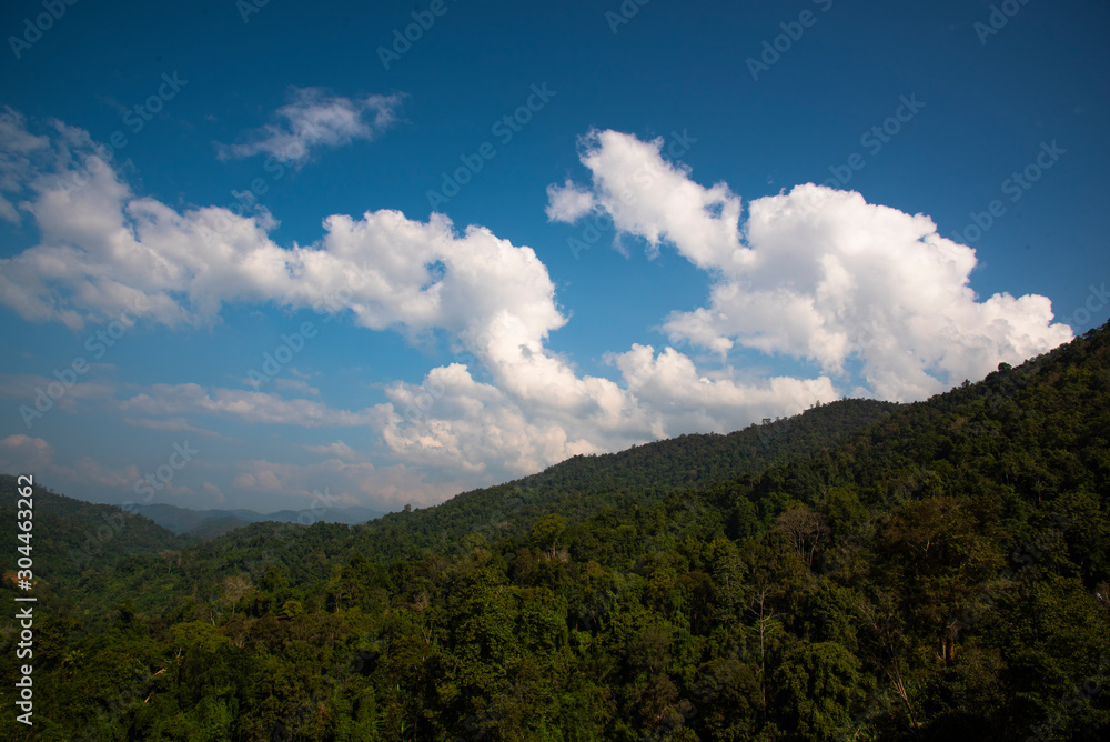 clouds over mountains with forest