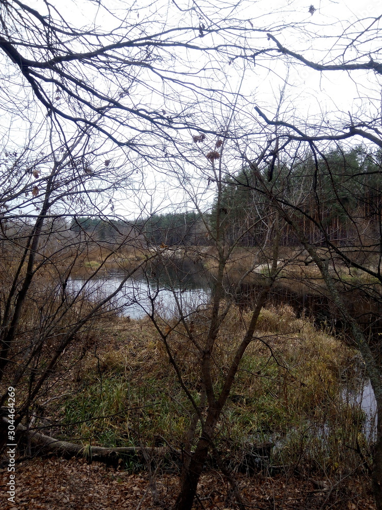 River, pine forest and sandy shore in autumn River, pine forest and sandy shore in autumn