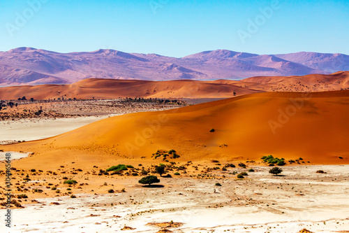 Deadvlei in Namib-Naukluft national park Sossusvlei in Namibia, Africa