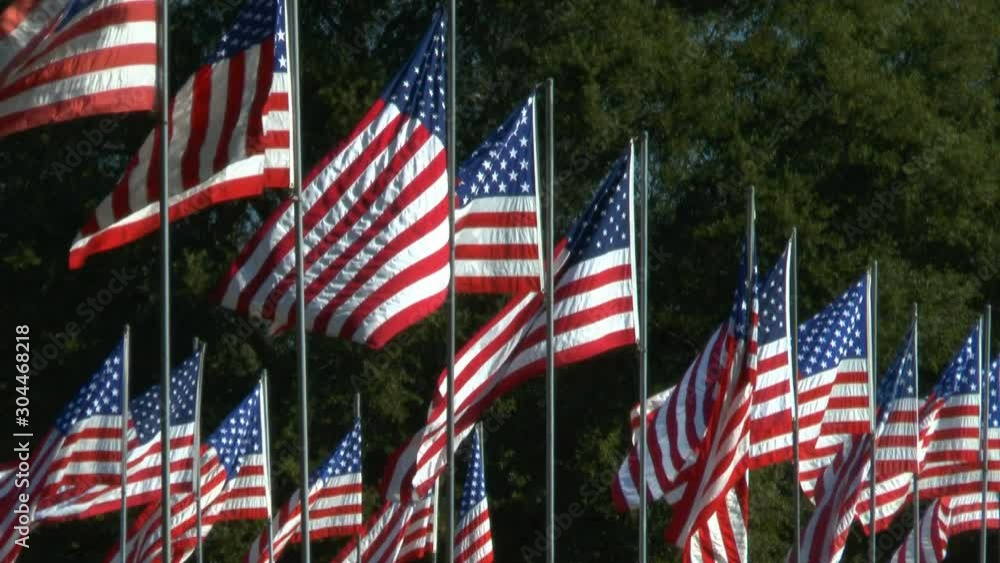 Large grouping of American flags lined up in rows