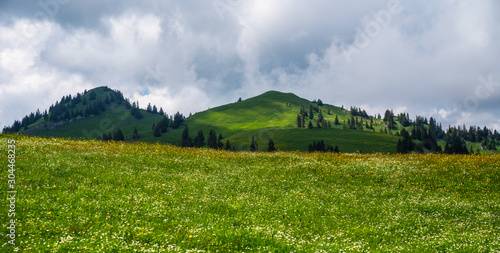 Panoramic view of idyllic mountain scenery in the Alps with fresh green meadows in bloom on a beautiful sunny day in springtime. Location place Swiss alps, Europe. Beauty world.