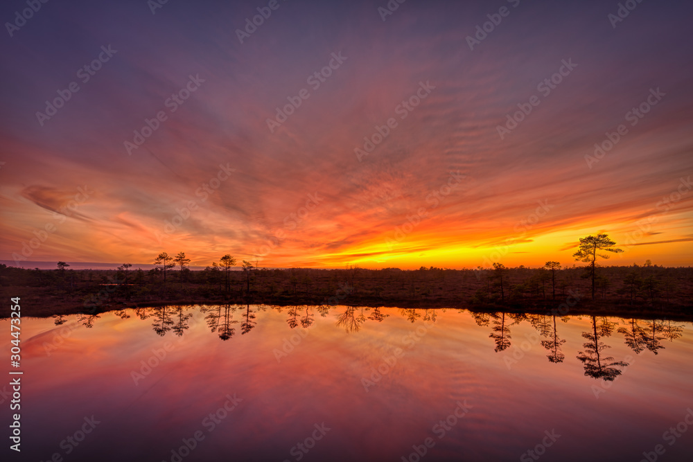 Orange twilight sky reflecting from a bog pond