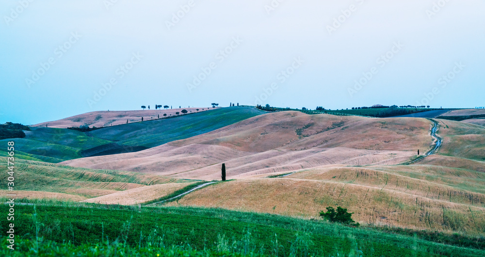 Unique tuscany landscape in summer time - wave hills, cypresses trees and dusk light. Tuscany, Italy, Europe. Vintage tone filter effect with noise and grain.