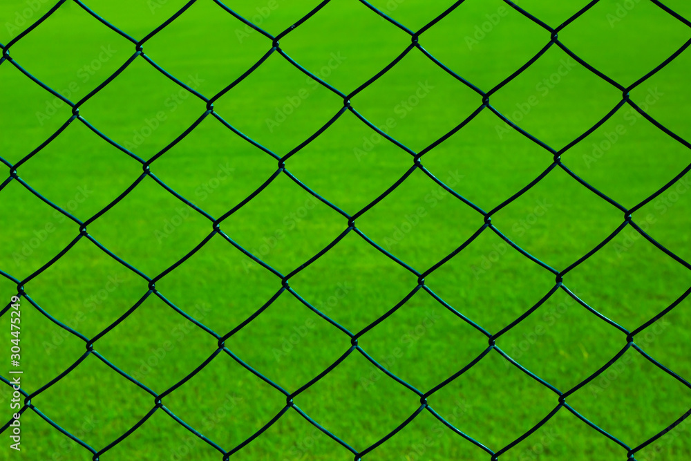 Fototapeta premium Green grass and wire netting texture, background.