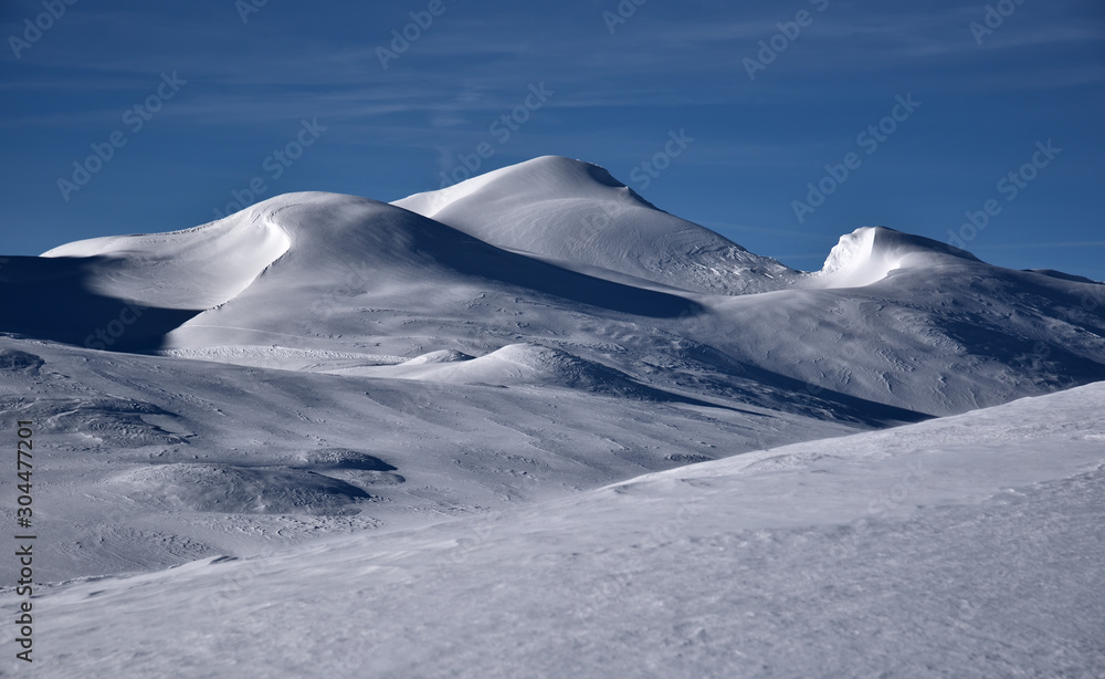 Alpine Winterlandschaft