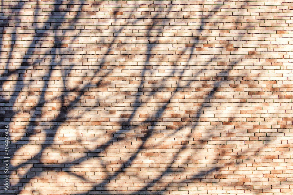 brick wall texture background on day noon light brick wall texture background on day noon light