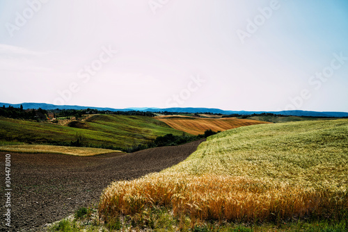 Beautiful landscape in Tuscany, Italy. Countryside with trees and cultivated land, green fnd golden field, and farms. Summer, traveling concept. Vintage tone filter effect with noise and grain.