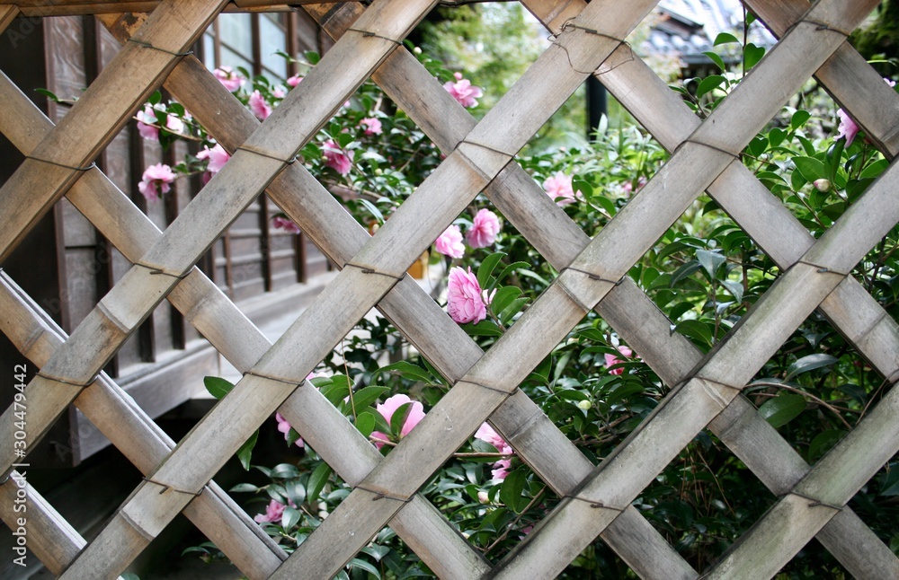 fence fence
