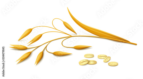 Ripe spike of oats and a few flakes lying on white background. Realistic vector illustration.