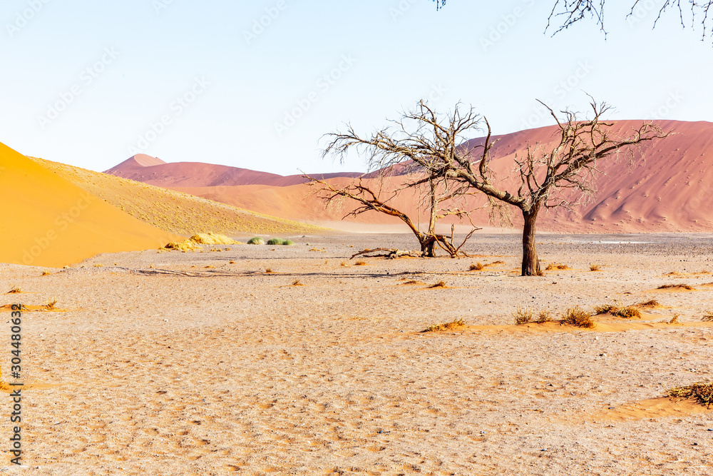  Amazing landscape of sossusvlei in Namibia, Africa