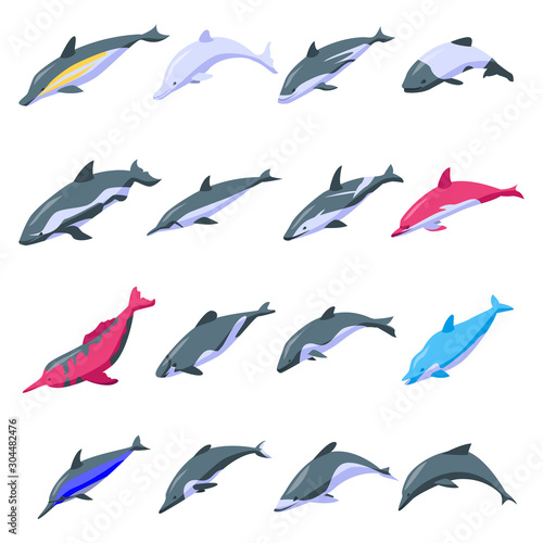 Dolphin icons set. Isometric set of dolphin vector icons for web design isolated on white background