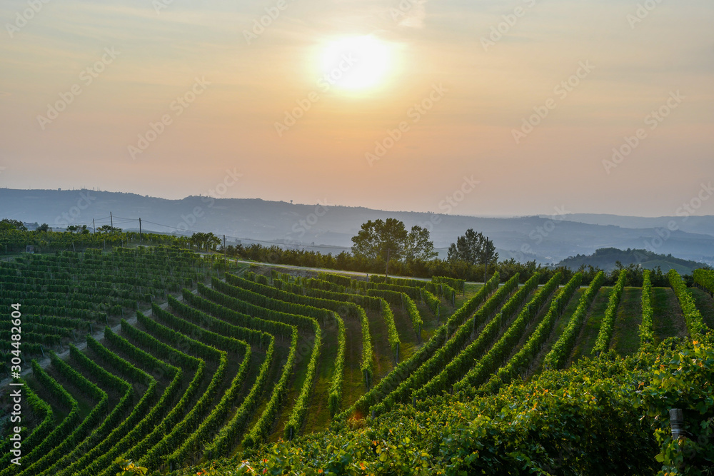Fototapeta premium Scenic view of the vineyard landscape of the Langhe hills, Unesco World Heritage Site, with orange sky at sunset in summer, Montelupo Albese, Cuneo, Piedmont, Italy