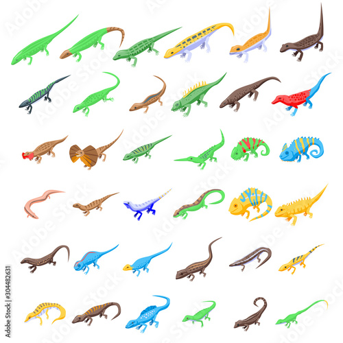 Lizard icons set. Isometric set of lizard vector icons for web design isolated on white background