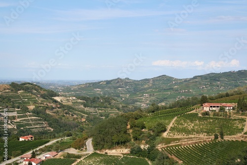 Elevated view of the Langhe hills landscape  Unesco World Heritage Site  with farms and vineyards in a sunny summer day  Cuneo  Piedmont  Italy