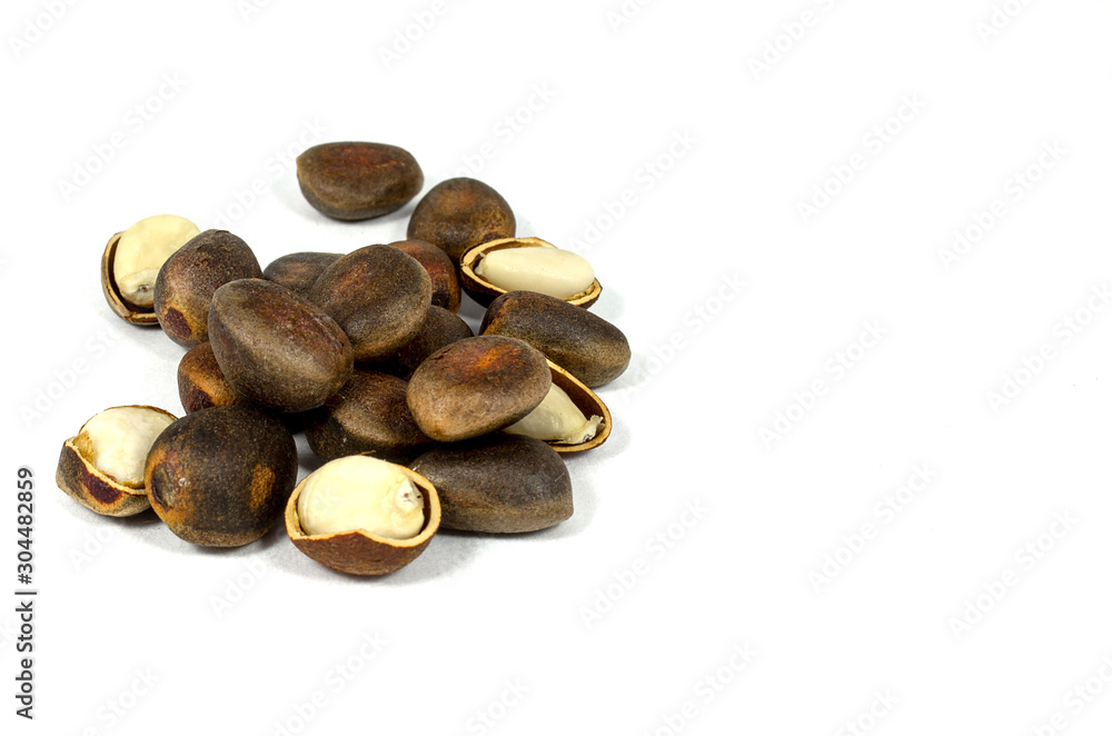Pine nut on a white background Pine nut on a white background