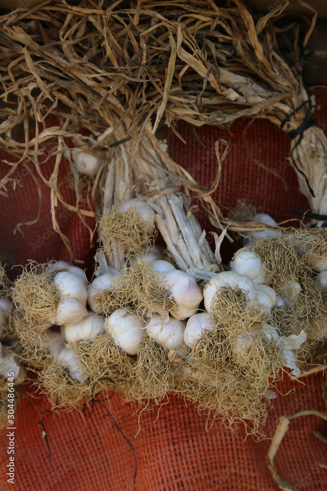 Obraz premium Macro Photo food garlic bulb. Background texture Plant vegetable garlic.