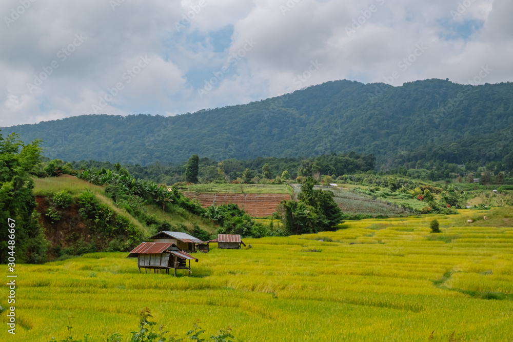 landscape view of rice terraces field in the valley