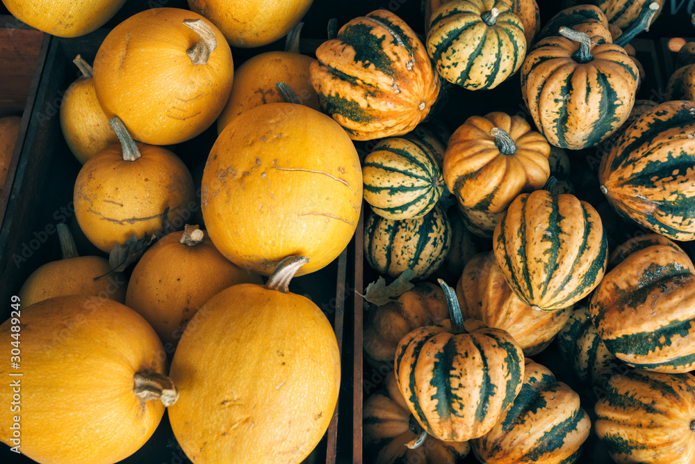 A lot of pumpkin at outdoor farmers market. A lot of pumpkin at outdoor farmers market.