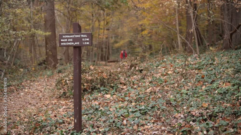 Normanstone Trail - Trail sign with dog walker in background - Rock Creek Park - Washington, DC - Autumn Normanstone Trail - Trail sign with dog walker in background - Rock Creek Park - Washington, DC - Autumn