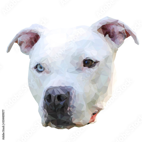 Pitbull American Staffordshire Terrier Polygon Dog Canine Head Vector Illustration